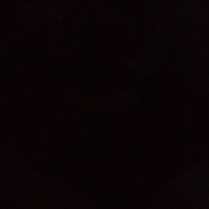 Meet your Posher, Therithea